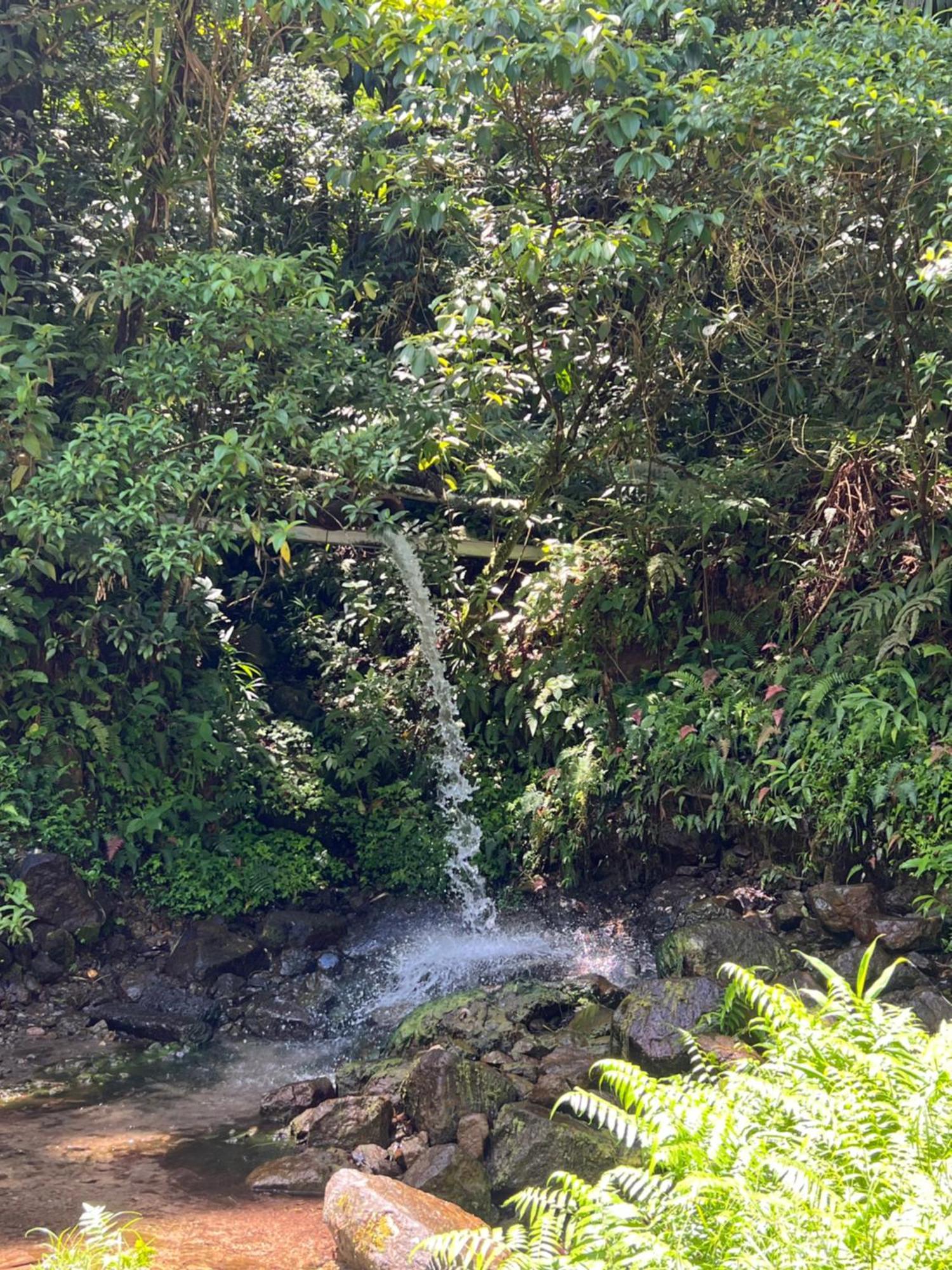 Le Ketmie Nature Et Decouverte Fond-Saint-Denis Zewnętrze zdjęcie