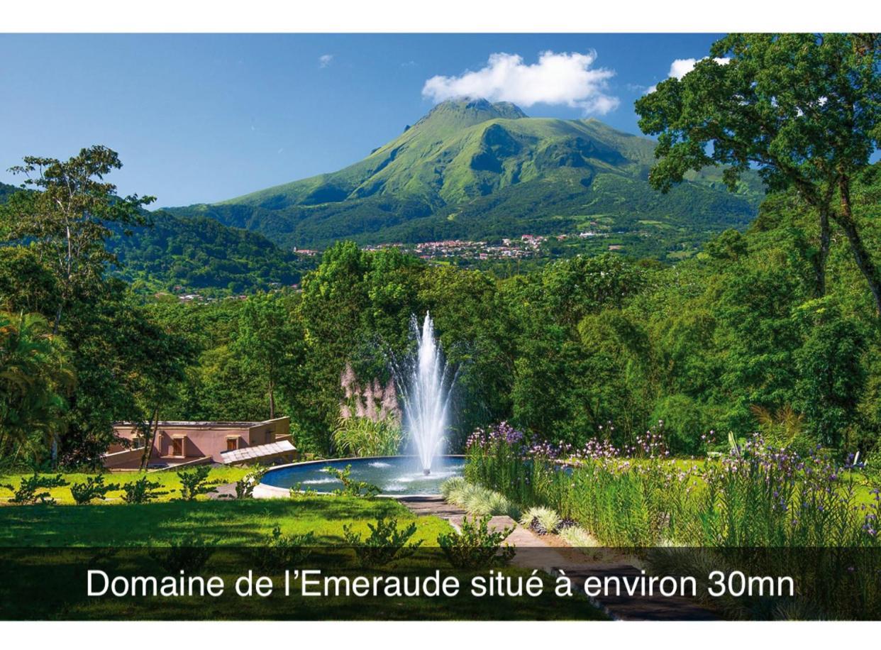 Le Ketmie Nature Et Decouverte Fond-Saint-Denis Zewnętrze zdjęcie